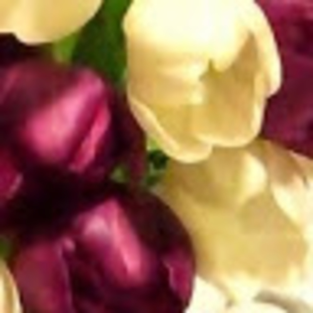 Meet your Posher, Vanessa